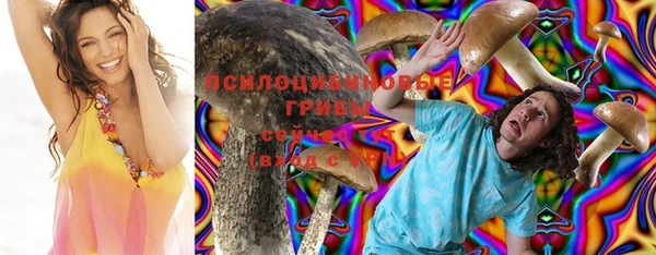 соль ск Алексин