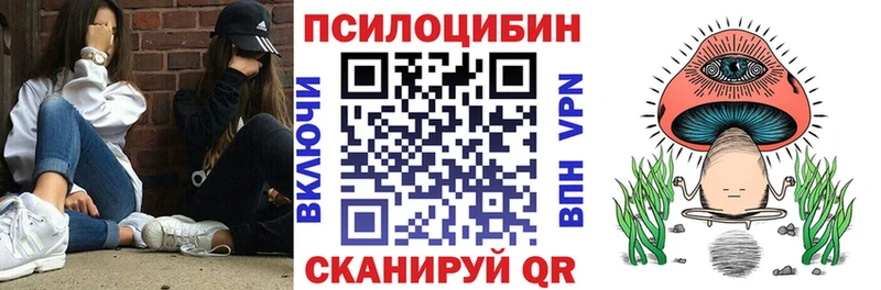 купить закладку mega ONION Псилоцибиновые грибы Cubensis Малаховка
